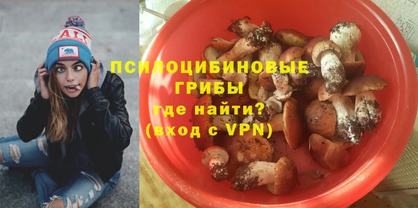 синтетический гашиш Алексин